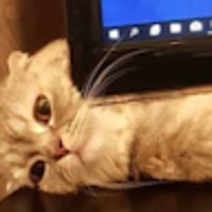 Meet your Posher, Tu